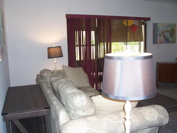 a living room with furniture and a potted plant
