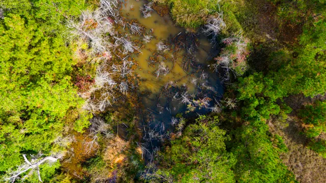 a view of a swimming pool and lake view
