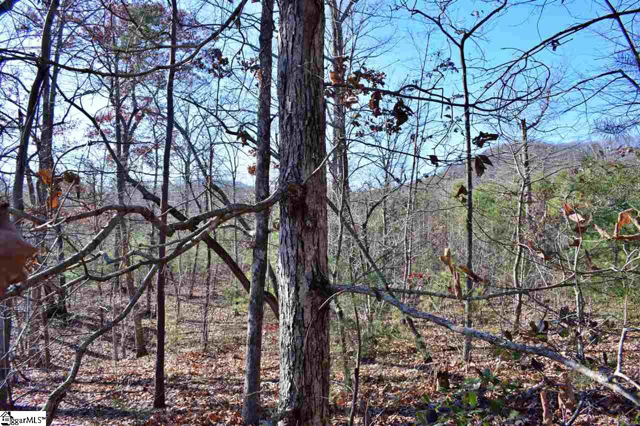 Goforth Road Campobello, SC 29322 - Photo 1 of 22