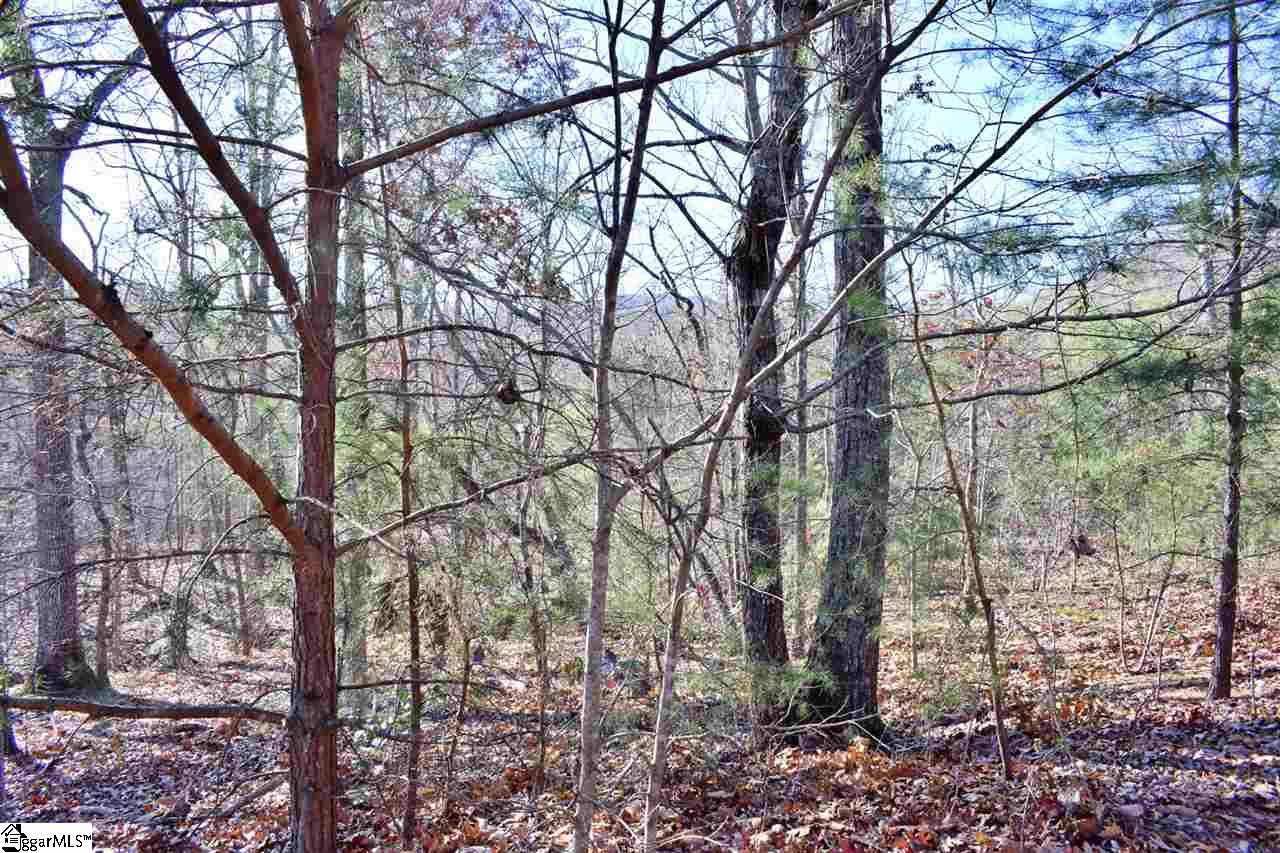 Goforth Road Campobello, SC 29322 - Photo 2 of 22