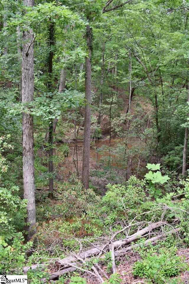 Goforth Road Campobello, SC 29322 - Photo 12 of 22