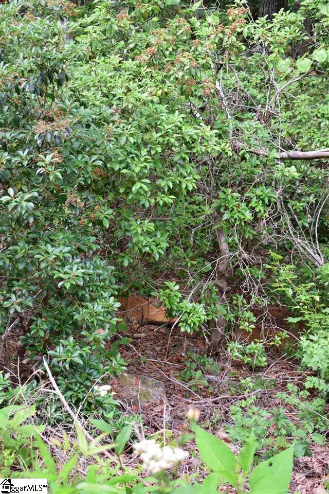Goforth Road Campobello, SC 29322 - Photo 13 of 22