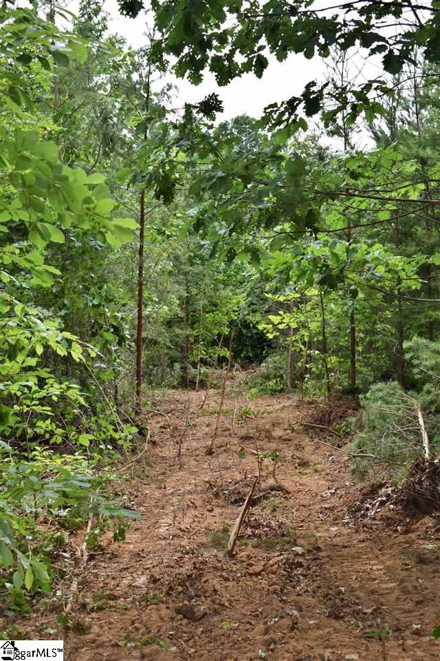 Goforth Road Campobello, SC 29322 - Photo 14 of 22