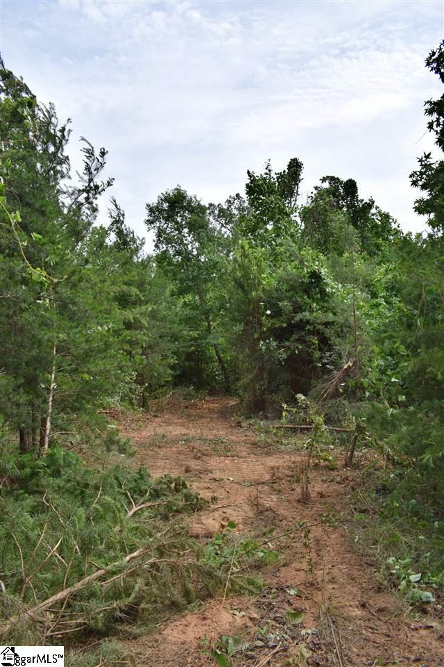 Goforth Road Campobello, SC 29322 - Photo 15 of 22