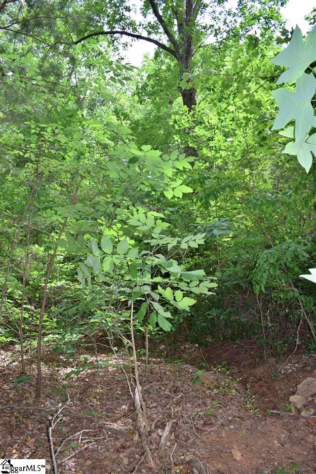 Goforth Road Campobello, SC 29322 - Photo 16 of 22