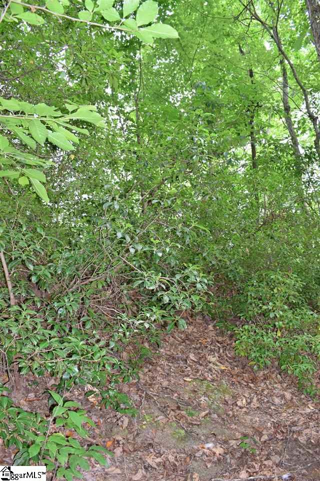 Goforth Road Campobello, SC 29322 - Photo 17 of 22