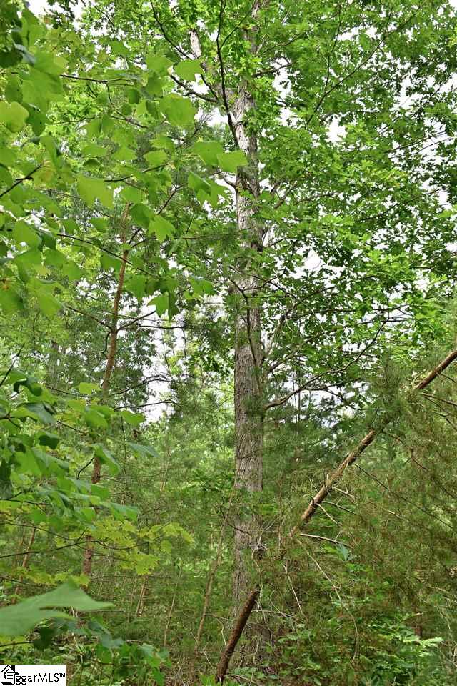 Goforth Road Campobello, SC 29322 - Photo 18 of 22
