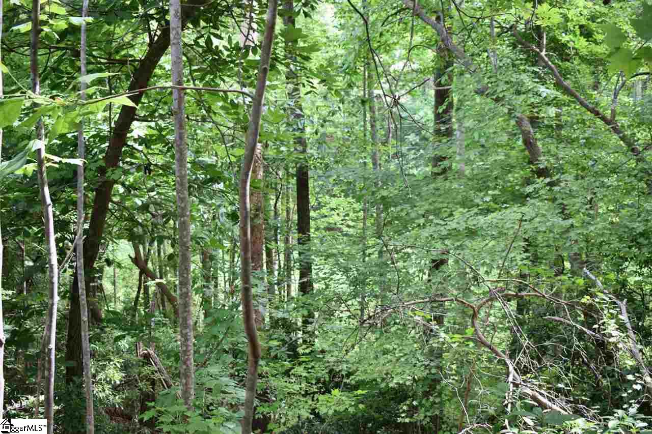 Goforth Road Campobello, SC 29322 - Photo 19 of 22