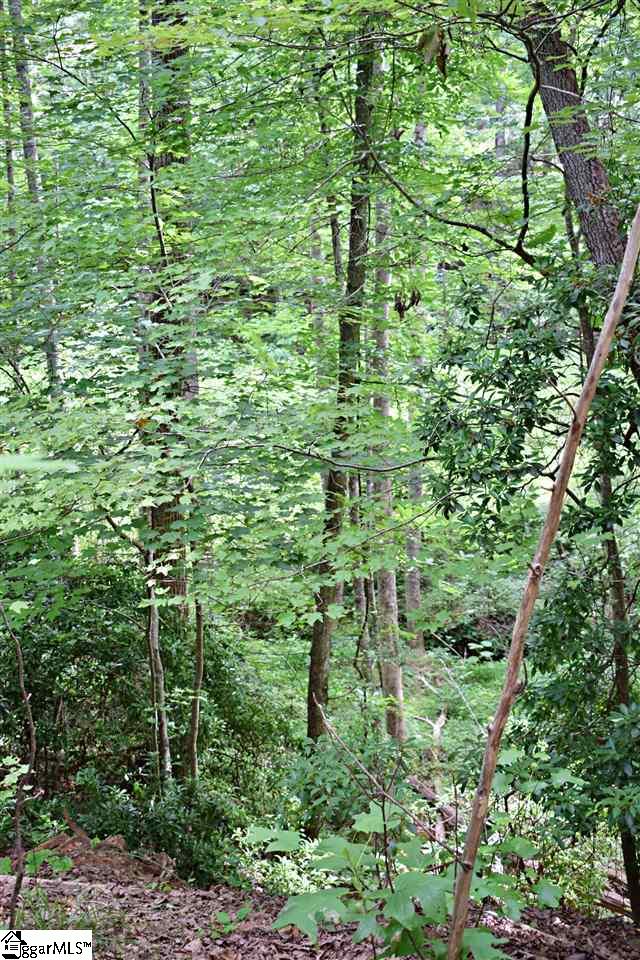 Goforth Road Campobello, SC 29322 - Photo 20 of 22