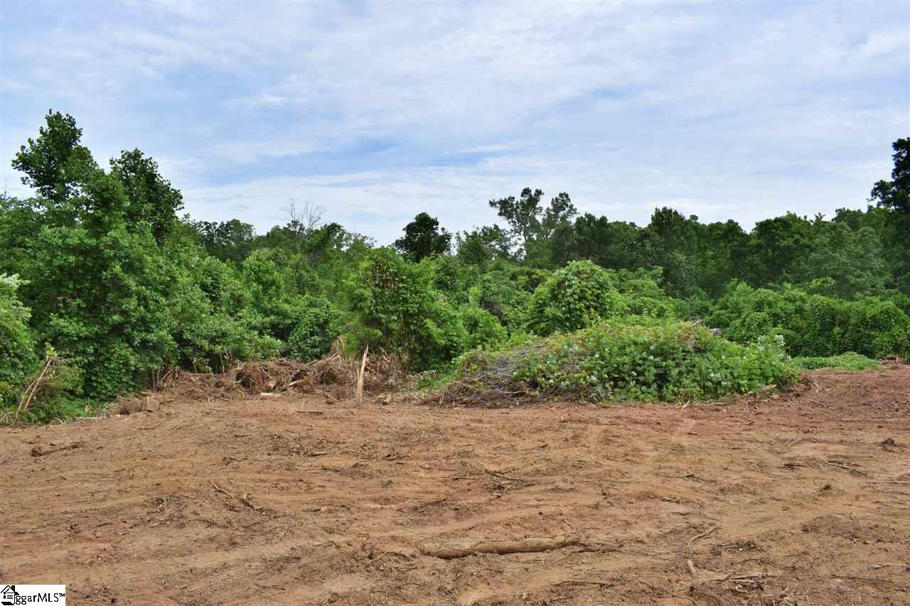 Goforth Road Campobello, SC 29322 - Photo 3 of 22