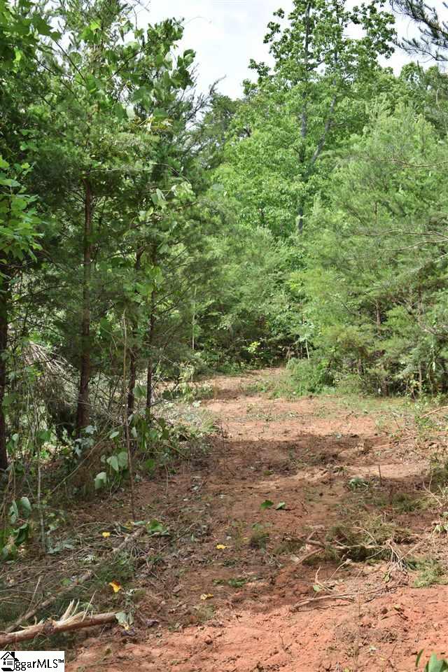 Goforth Road Campobello, SC 29322 - Photo 21 of 22