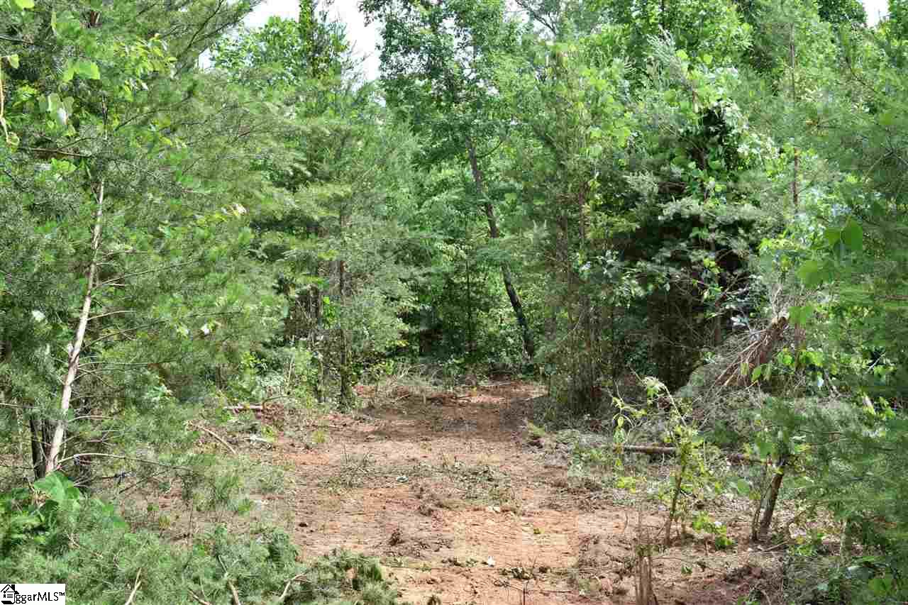 Goforth Road Campobello, SC 29322 - Photo 22 of 22