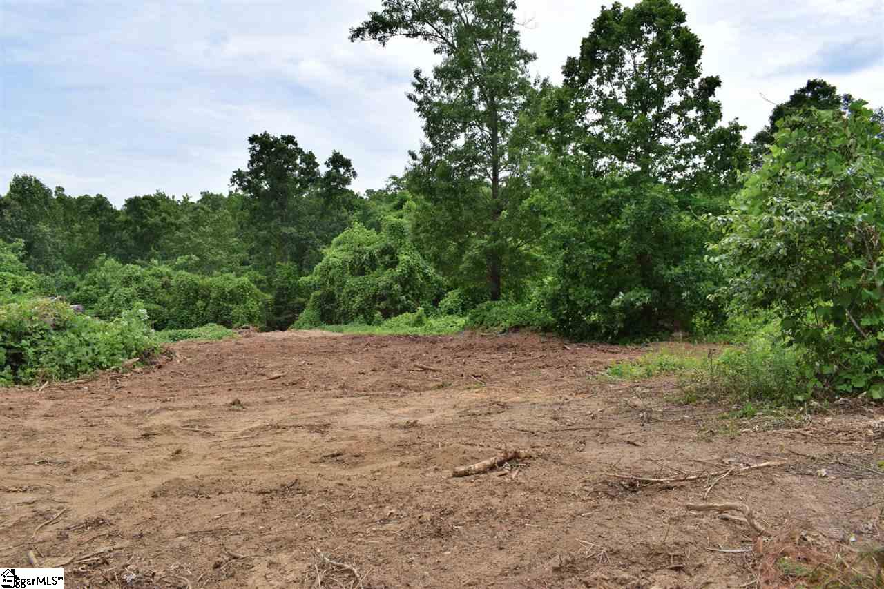Goforth Road Campobello, SC 29322 - Photo 4 of 22