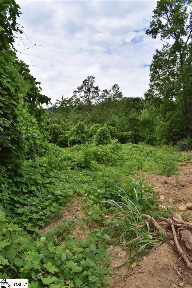 Goforth Road Campobello, SC 29322 - Photo 5 of 22