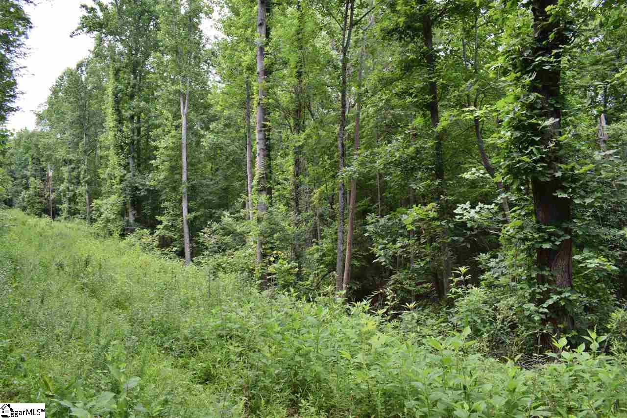 Goforth Road Campobello, SC 29322 - Photo 6 of 22