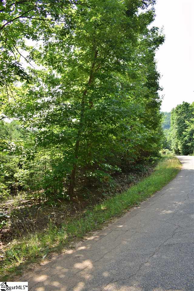 Goforth Road Campobello, SC 29322 - Photo 8 of 22