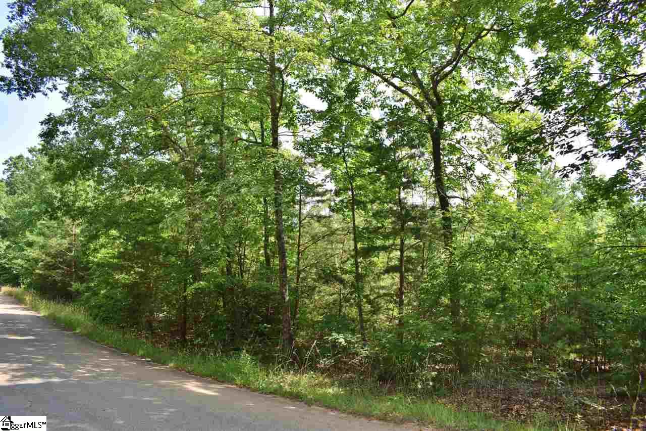 Goforth Road Campobello, SC 29322 - Photo 9 of 22