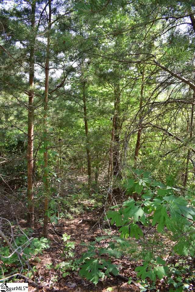 Goforth Road Campobello, SC 29322 - Photo 10 of 22