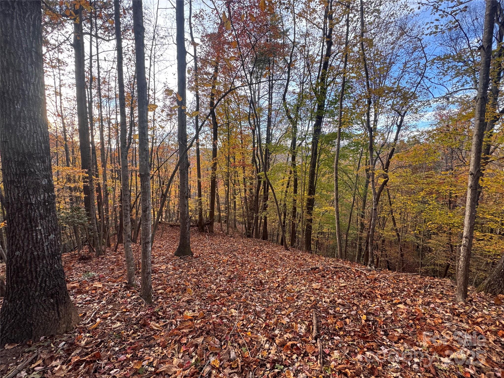 Tbd Winkler Way Road Lenoir, NC 28645 - Photo 20 of 46 a view of wooden fence