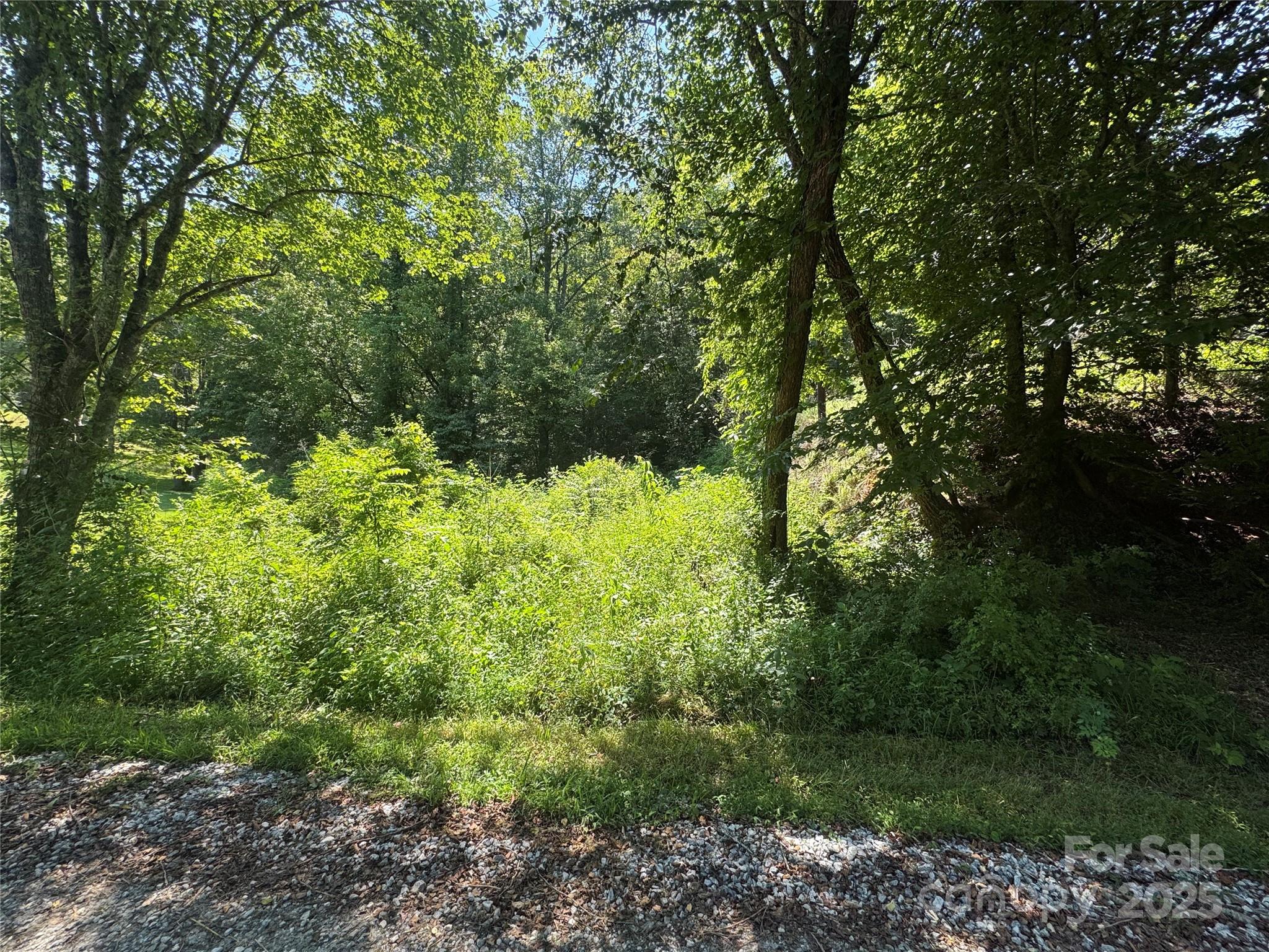 Tbd Winkler Way Road Lenoir, NC 28645 - Photo 24 of 46 a view of a garden with plants