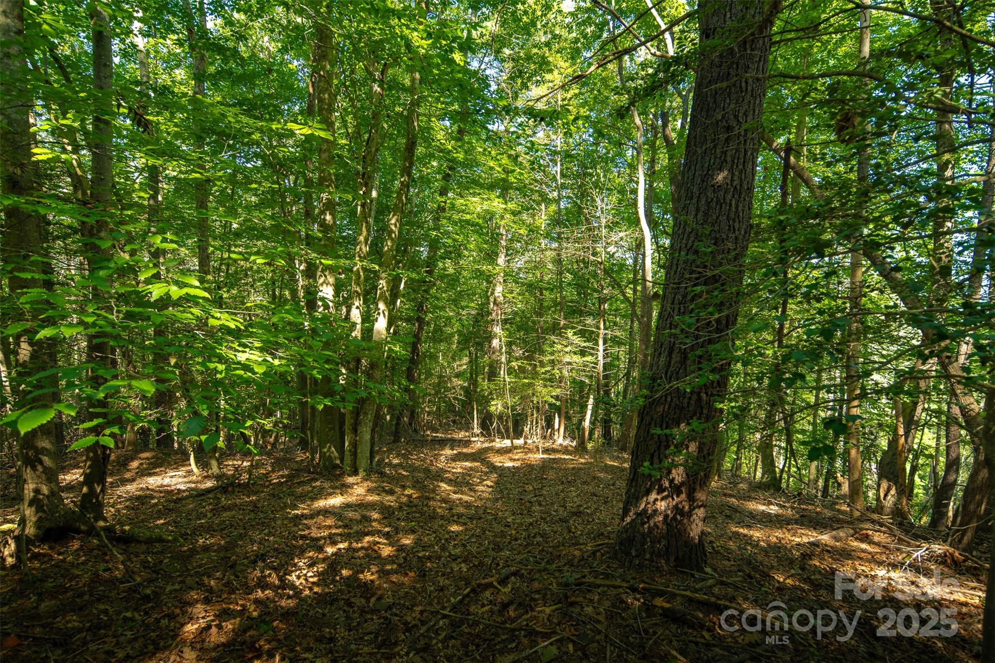 Tbd Winkler Way Road Lenoir, NC 28645 - Photo 28 of 46 a view of outdoor space and yard