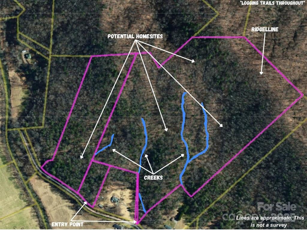 Tbd Winkler Way Road Lenoir, NC 28645 - Photo 3 of 46 a view of under a large tree