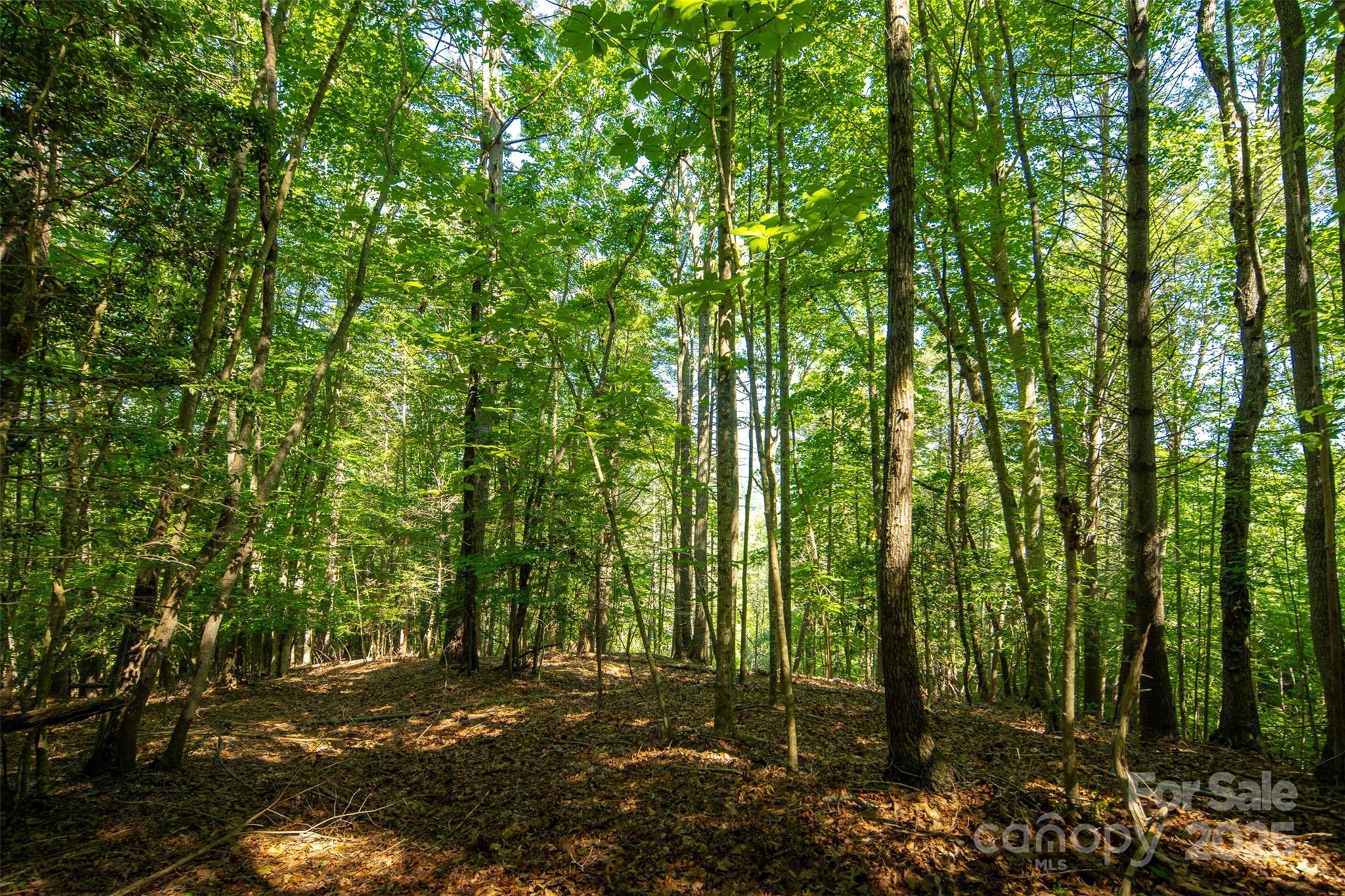 Tbd Winkler Way Road Lenoir, NC 28645 - Photo 31 of 46 a view of outdoor space and trees in the background