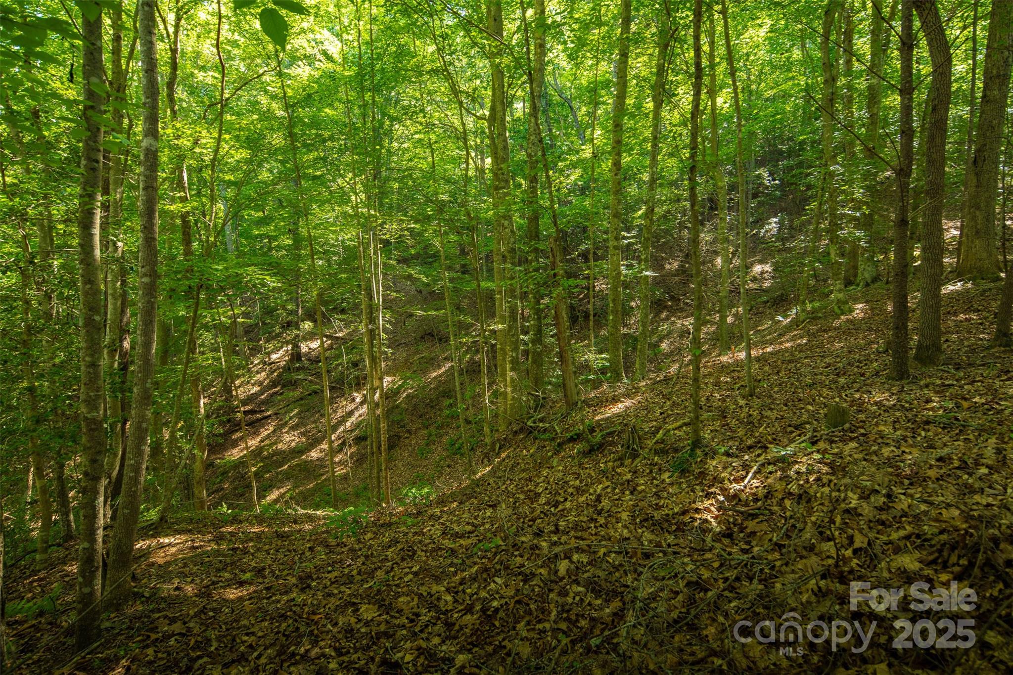 Tbd Winkler Way Road Lenoir, NC 28645 - Photo 38 of 46 a view of a yard