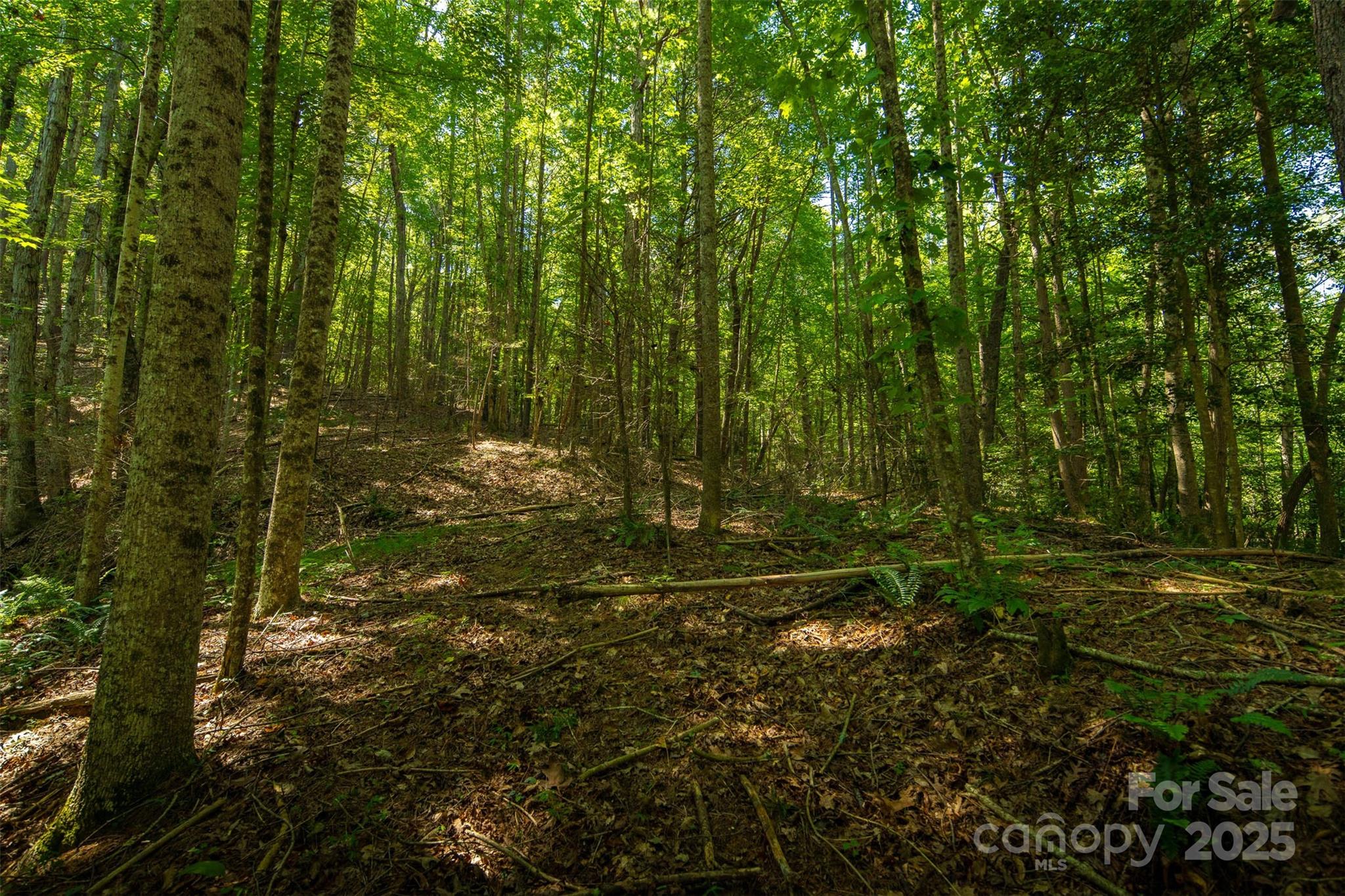Tbd Winkler Way Road Lenoir, NC 28645 - Photo 39 of 46 a view of yard