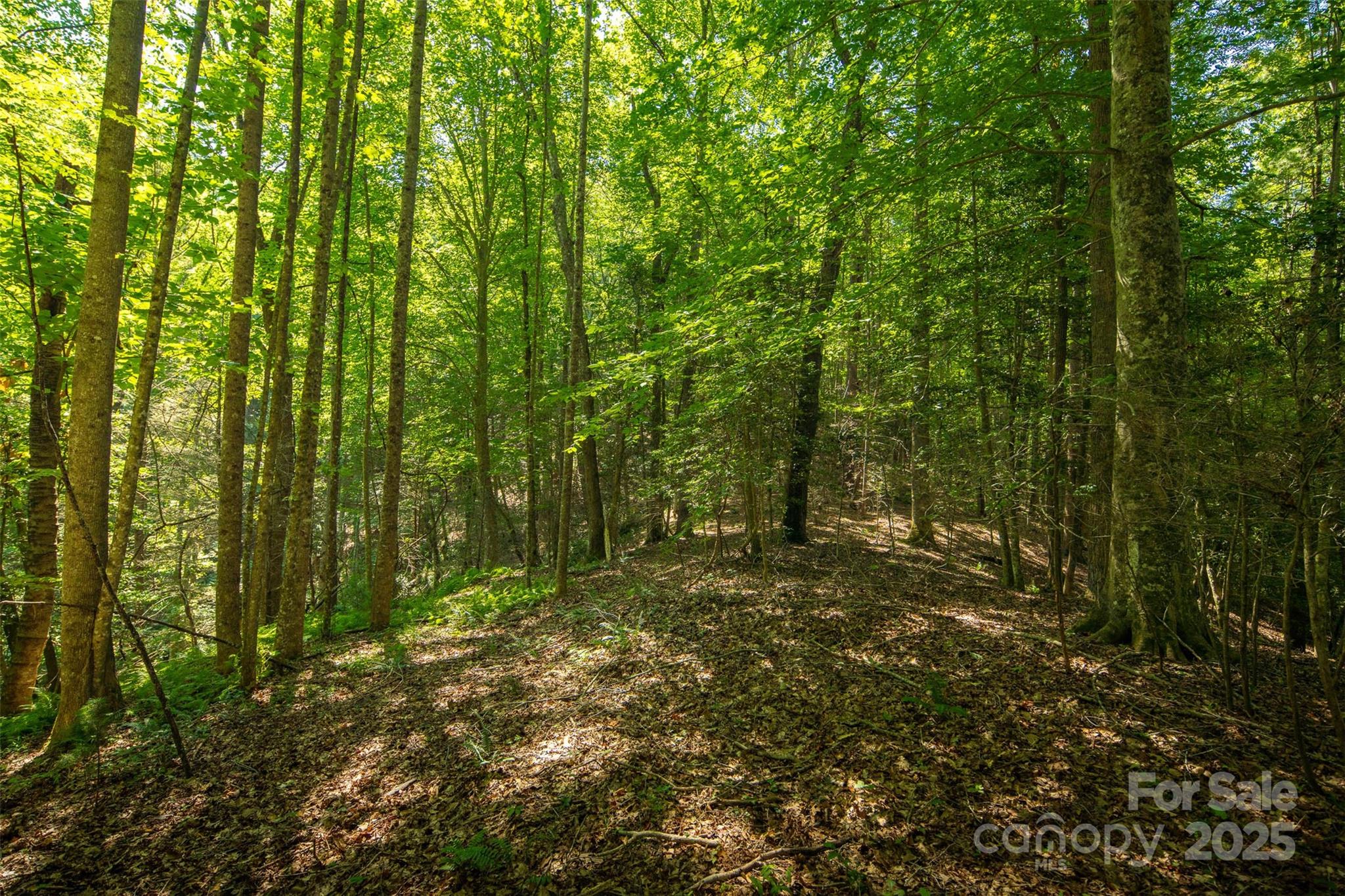 Tbd Winkler Way Road Lenoir, NC 28645 - Photo 40 of 46 a view of outdoor space and trees