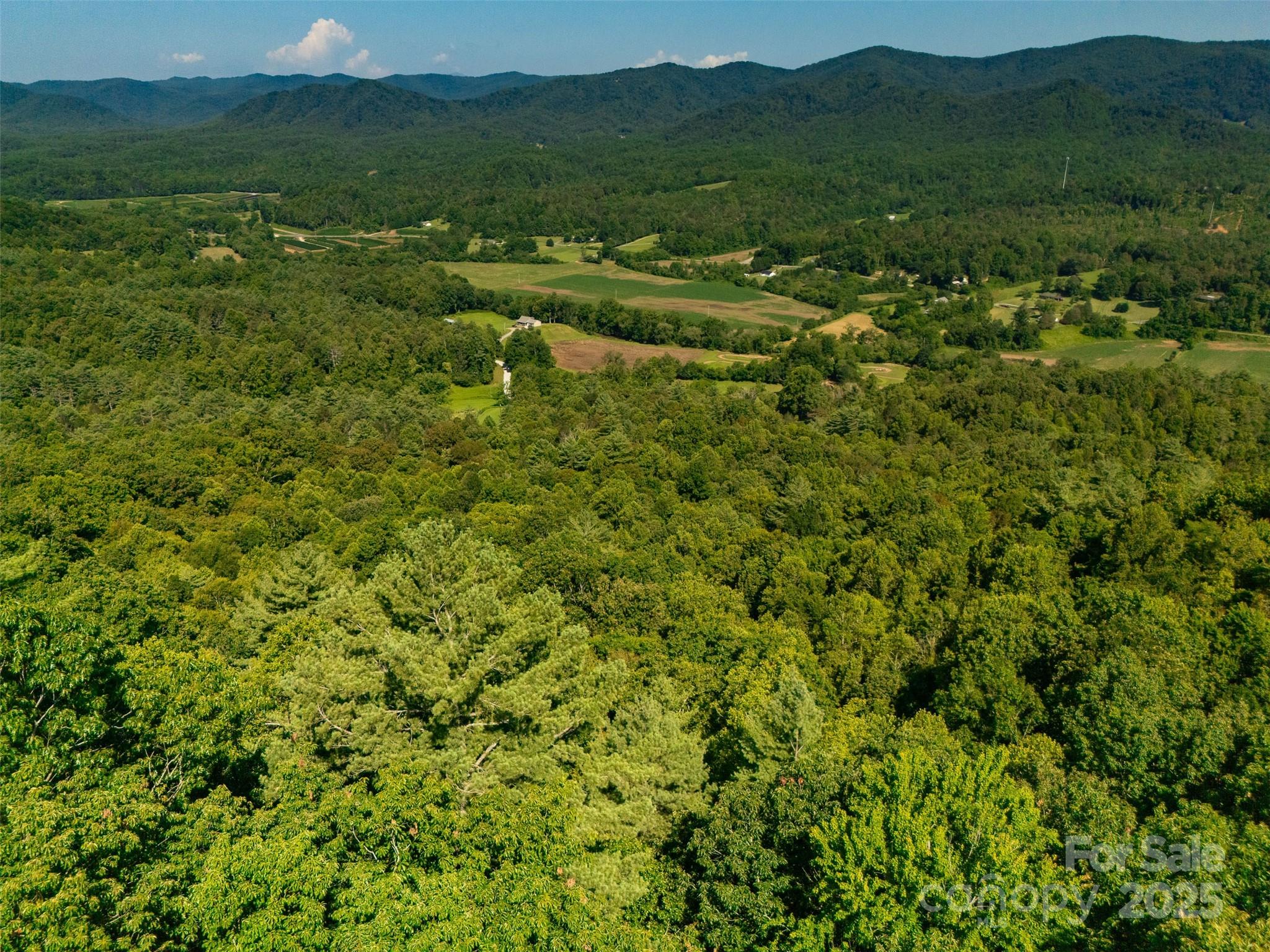 Tbd Winkler Way Road Lenoir, NC 28645 - Photo 45 of 46 a view of a lush green forest with trees in the background