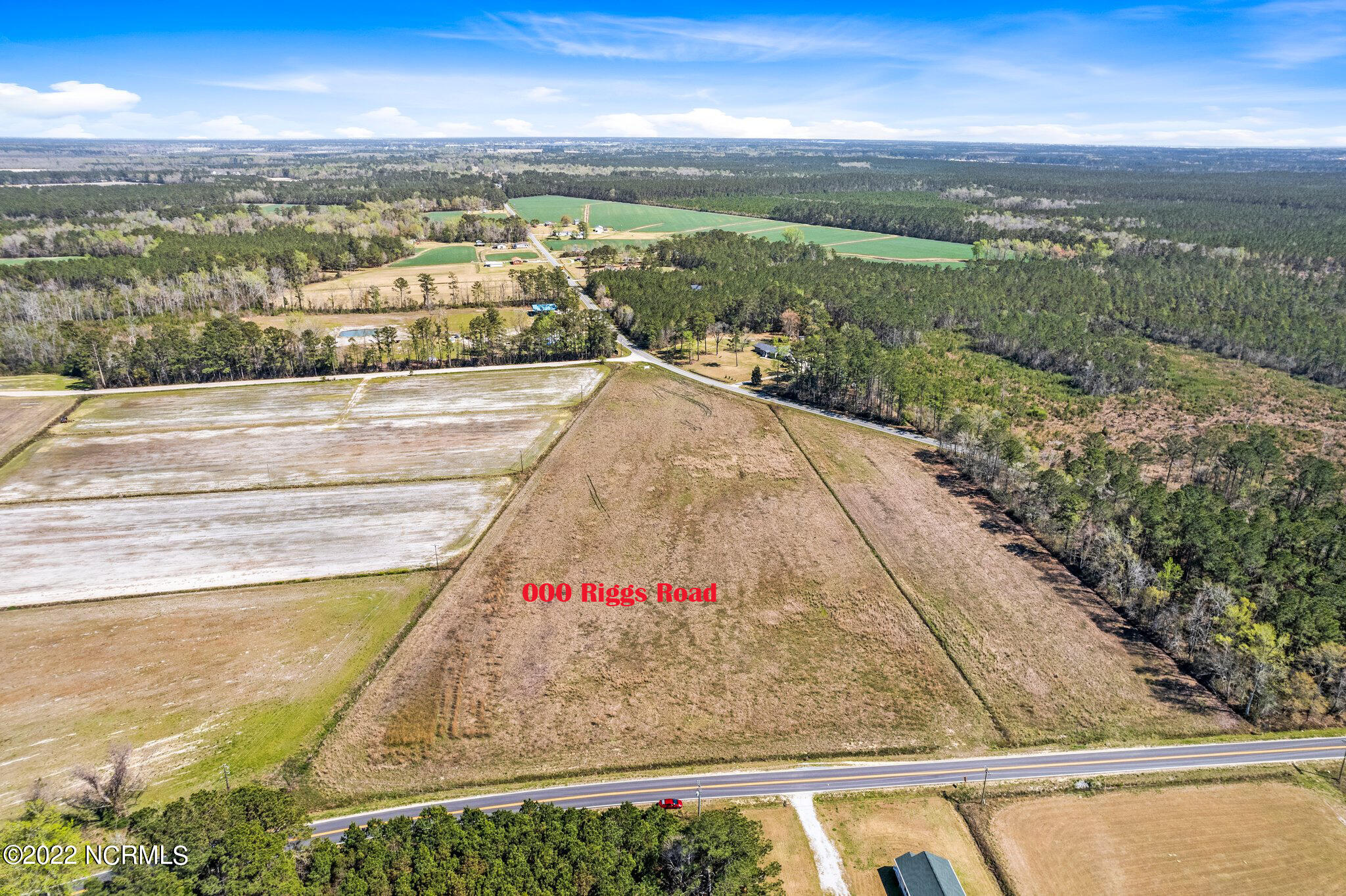 0 Riggs Road Maysville, NC 28555 - Photo 4 of 13 2-web-or-mls-DJI_0657