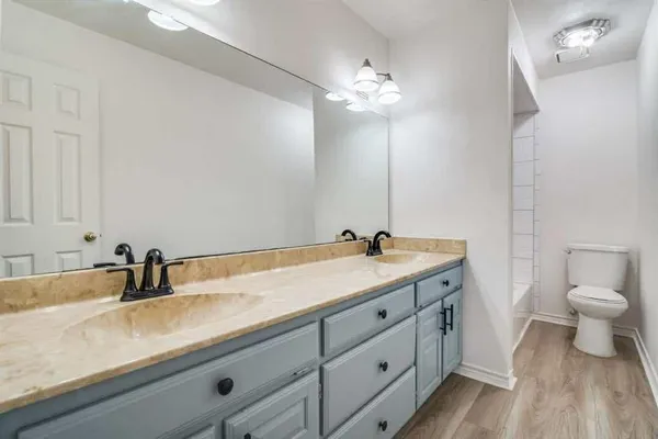 a bathroom with a sink and a toilet