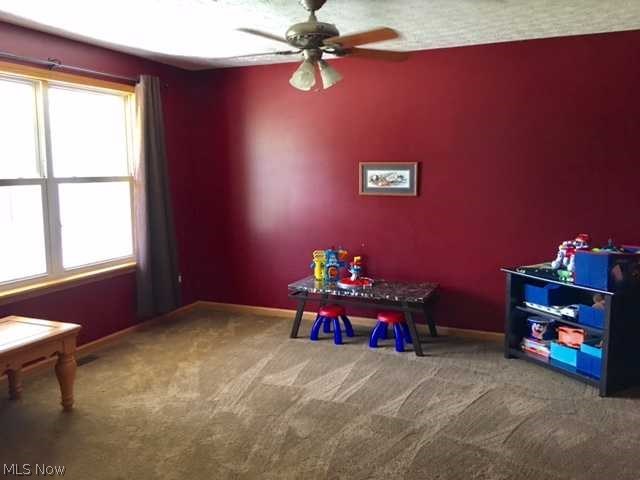 5691 Lockwood Road Madison, OH 44057 - Photo 18 of 26 Gallery Image 18
