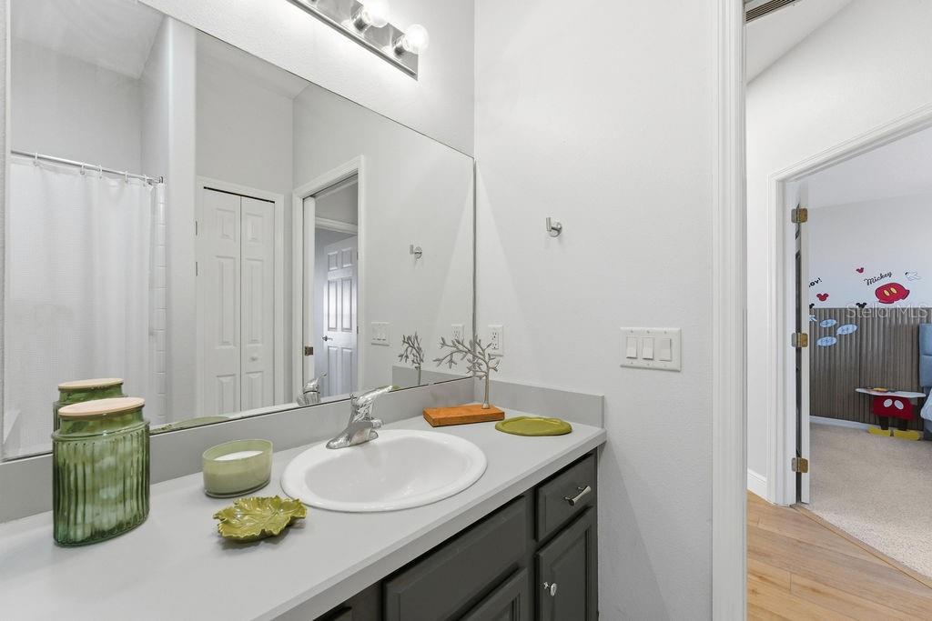 1338 Southwest 161st Place Ocala, FL 34473 - Photo 36 of 76 a bathroom with a sink and a mirror