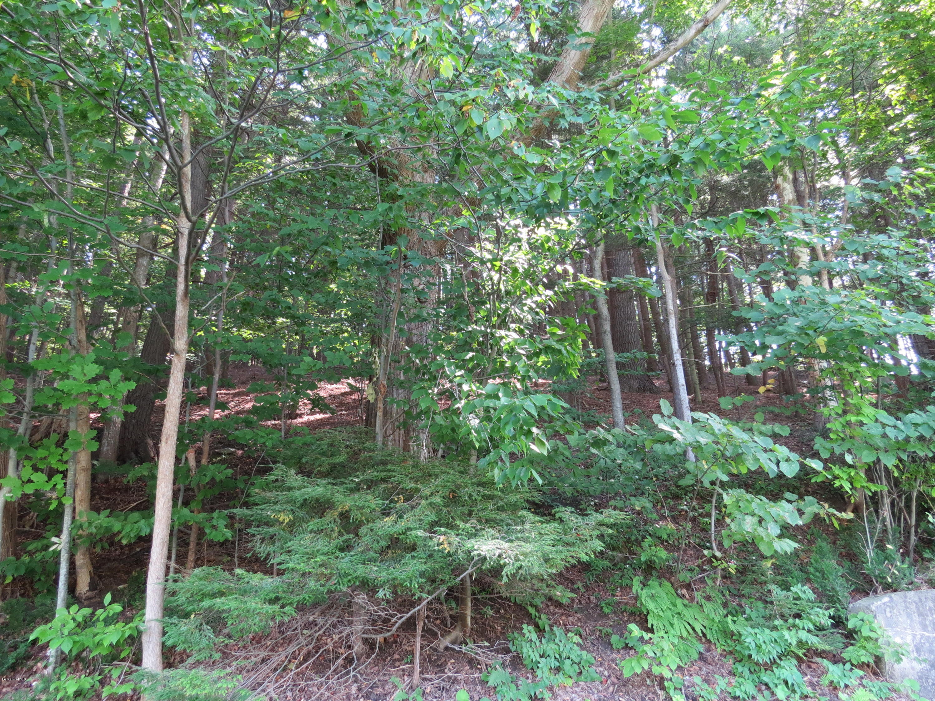0 Ingalls Road Cheshire, MA 01225 - Photo 2 of 13 IMG_3431
