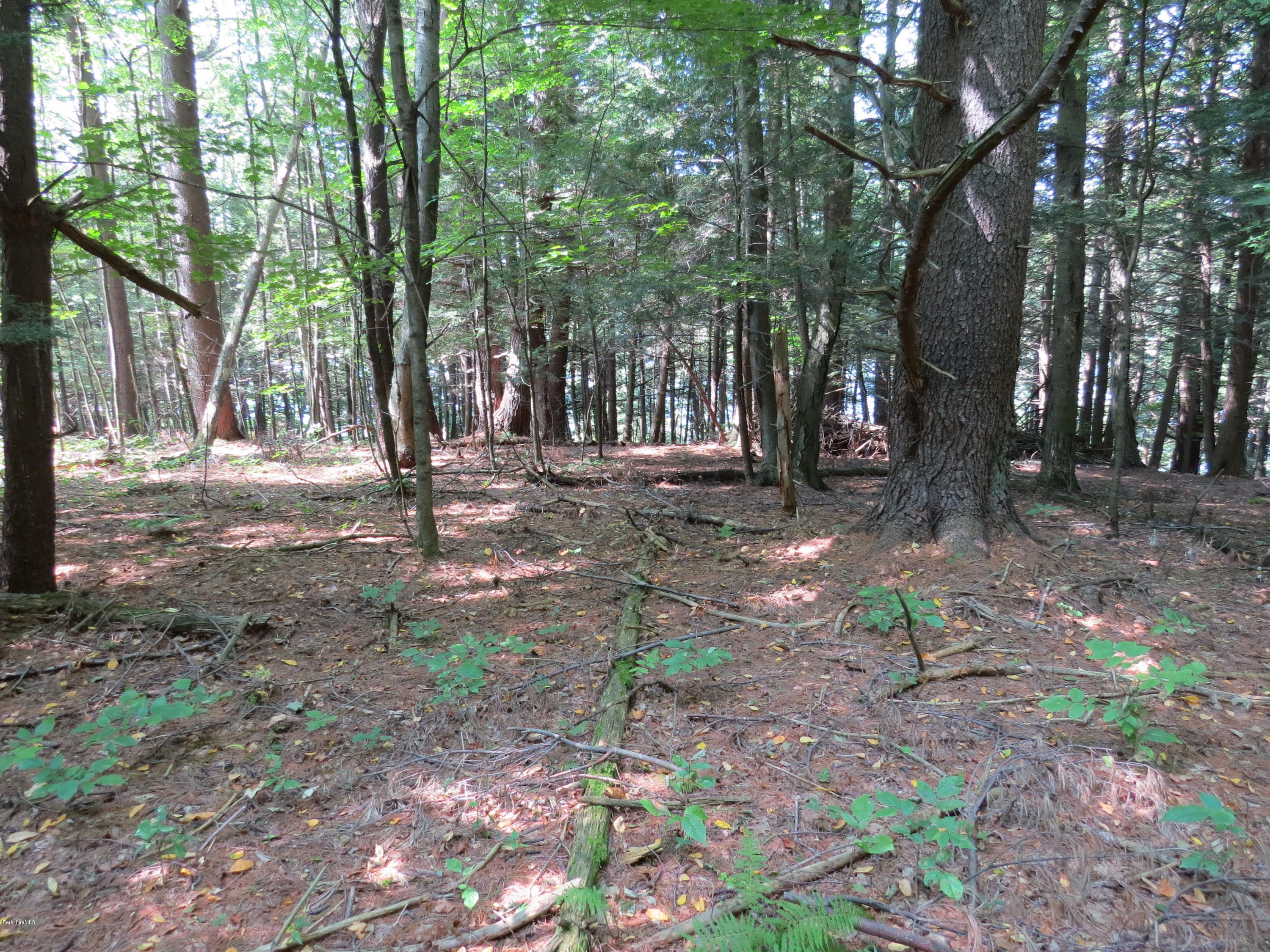 0 Ingalls Road Cheshire, MA 01225 - Photo 11 of 13 IMG_3441