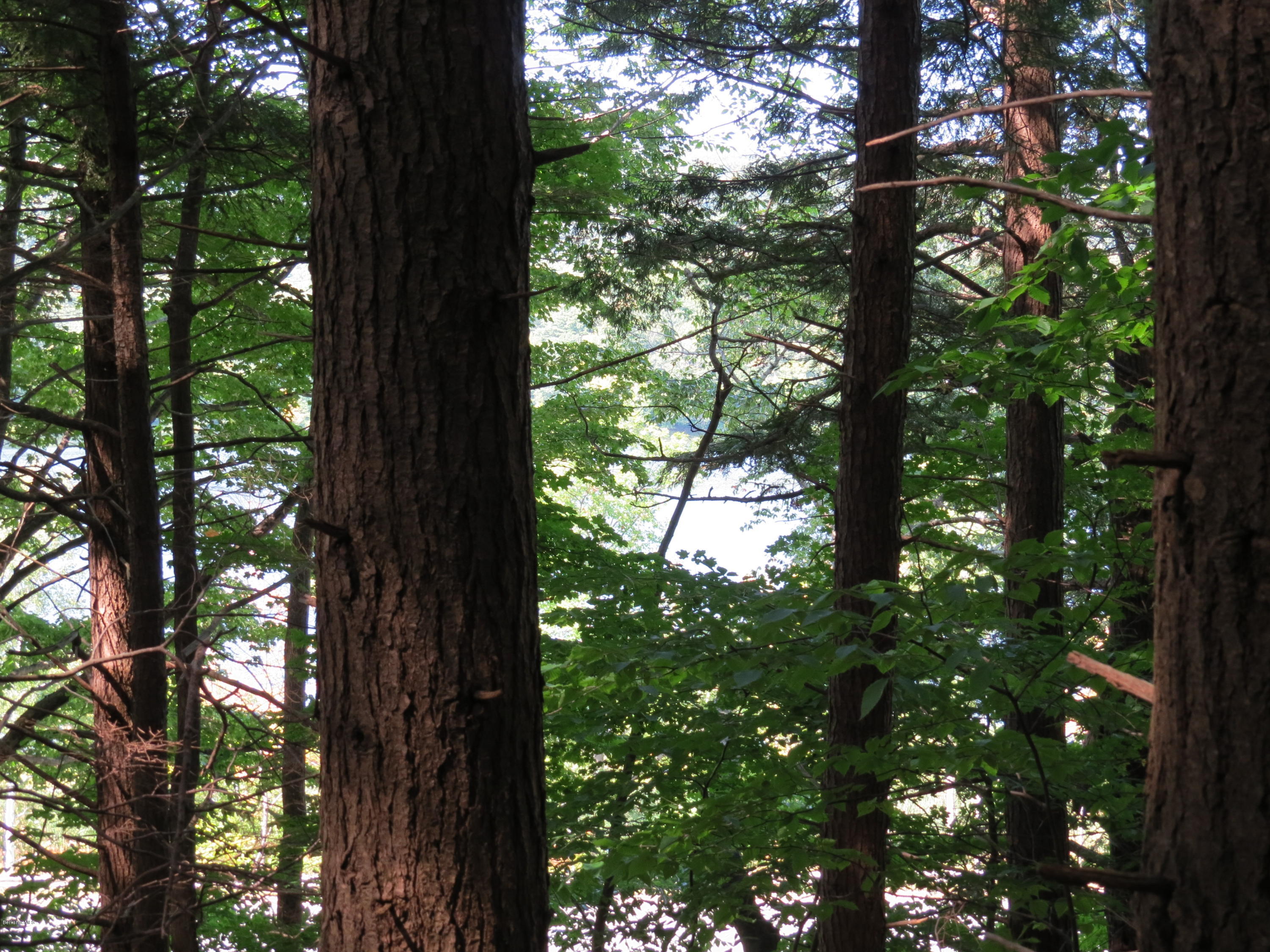 0 Ingalls Road Cheshire, MA 01225 - Photo 3 of 13 IMG_3432