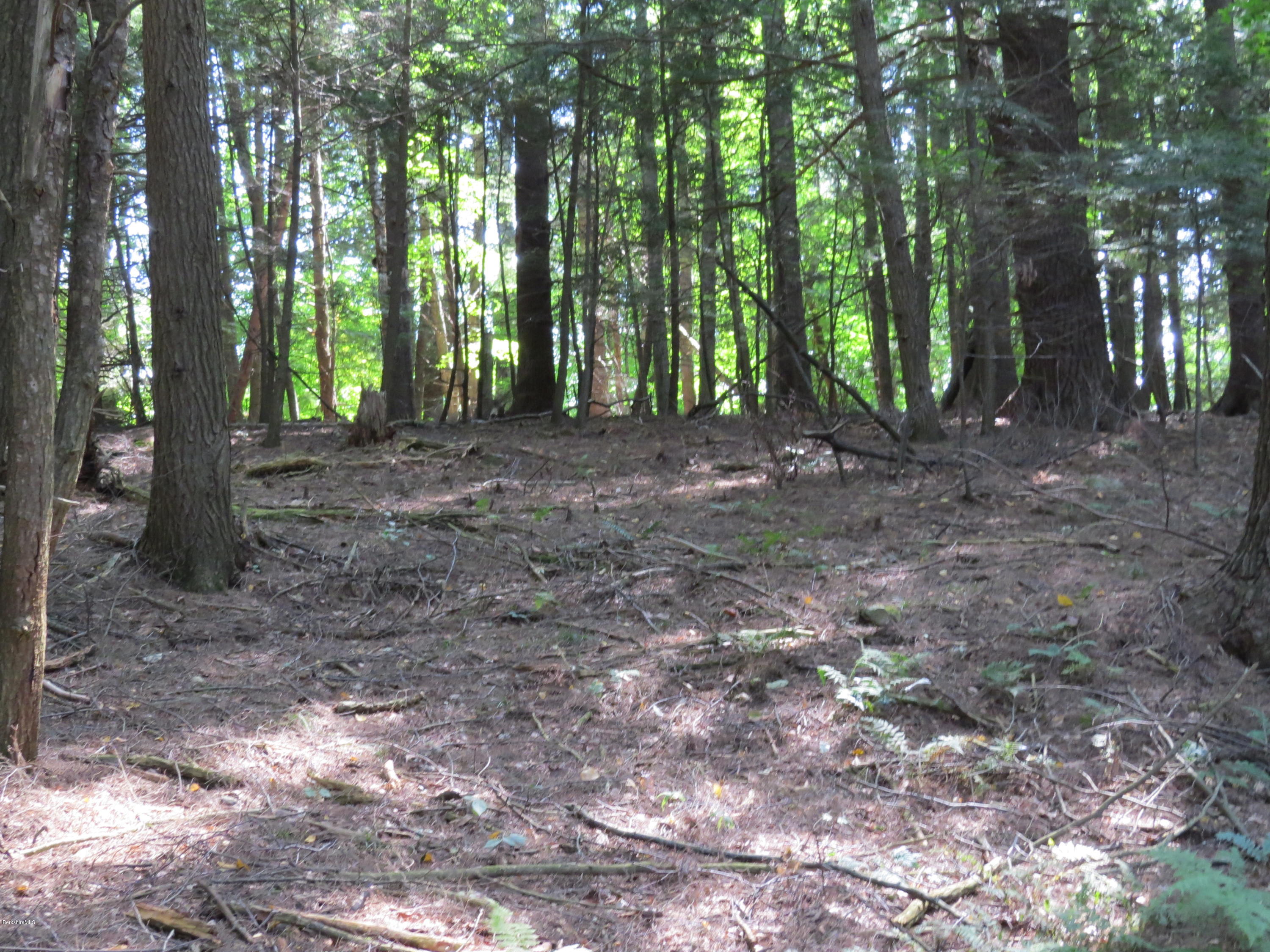 0 Ingalls Road Cheshire, MA 01225 - Photo 5 of 13 IMG_3434