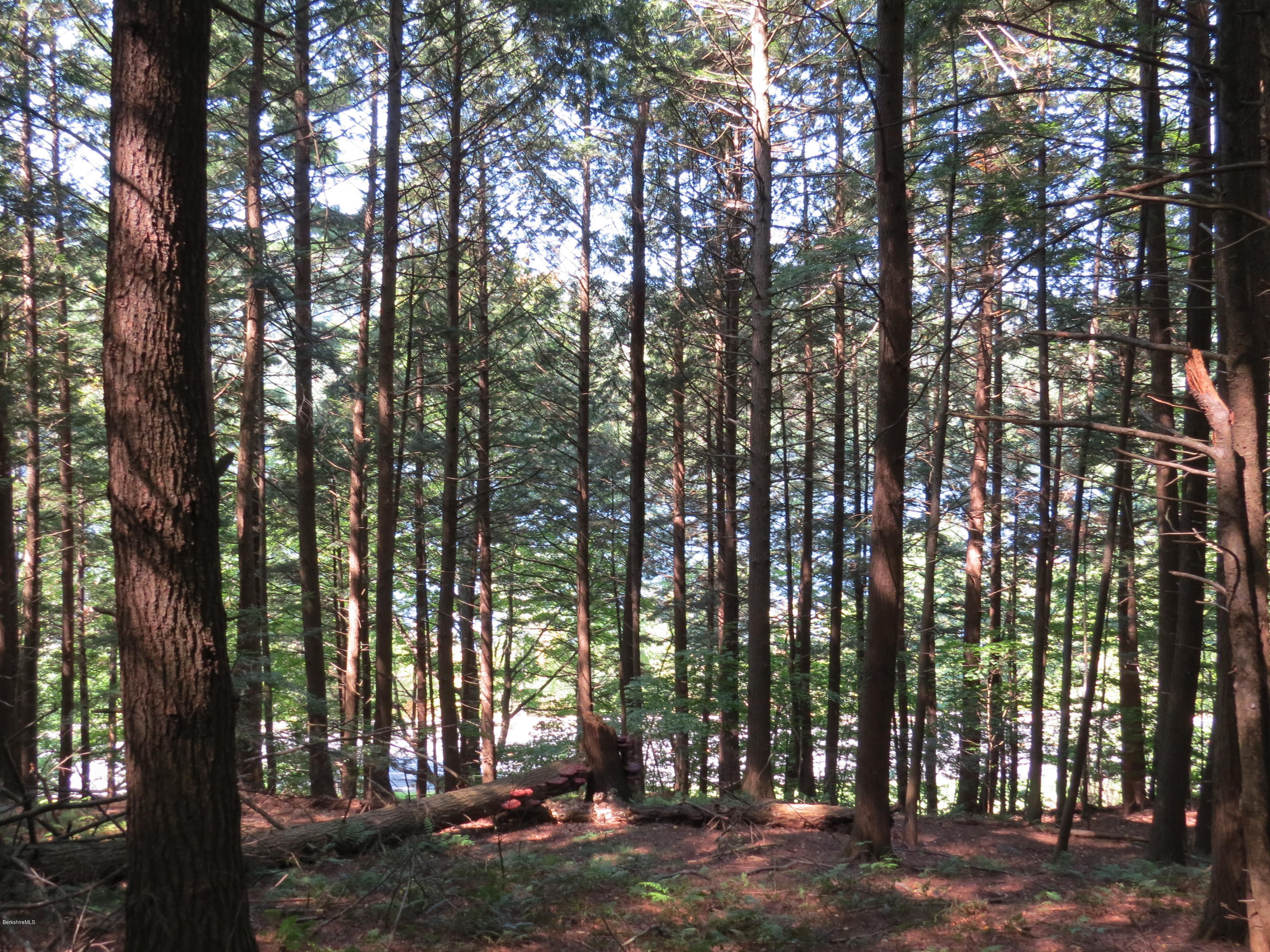 0 Ingalls Road Cheshire, MA 01225 - Photo 6 of 13 lake views thru the trees