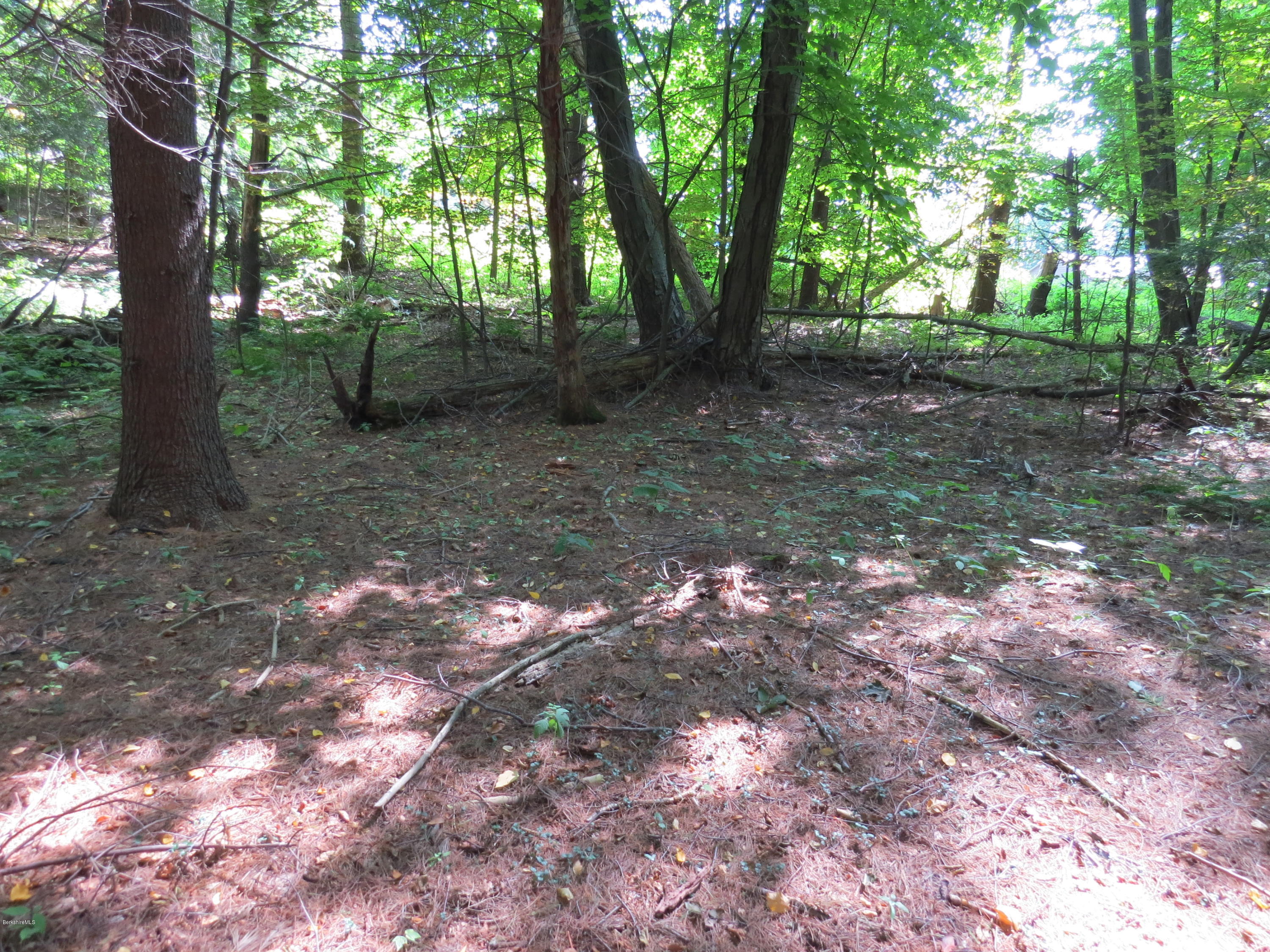 0 Ingalls Road Cheshire, MA 01225 - Photo 8 of 13 Nice Buildable area
