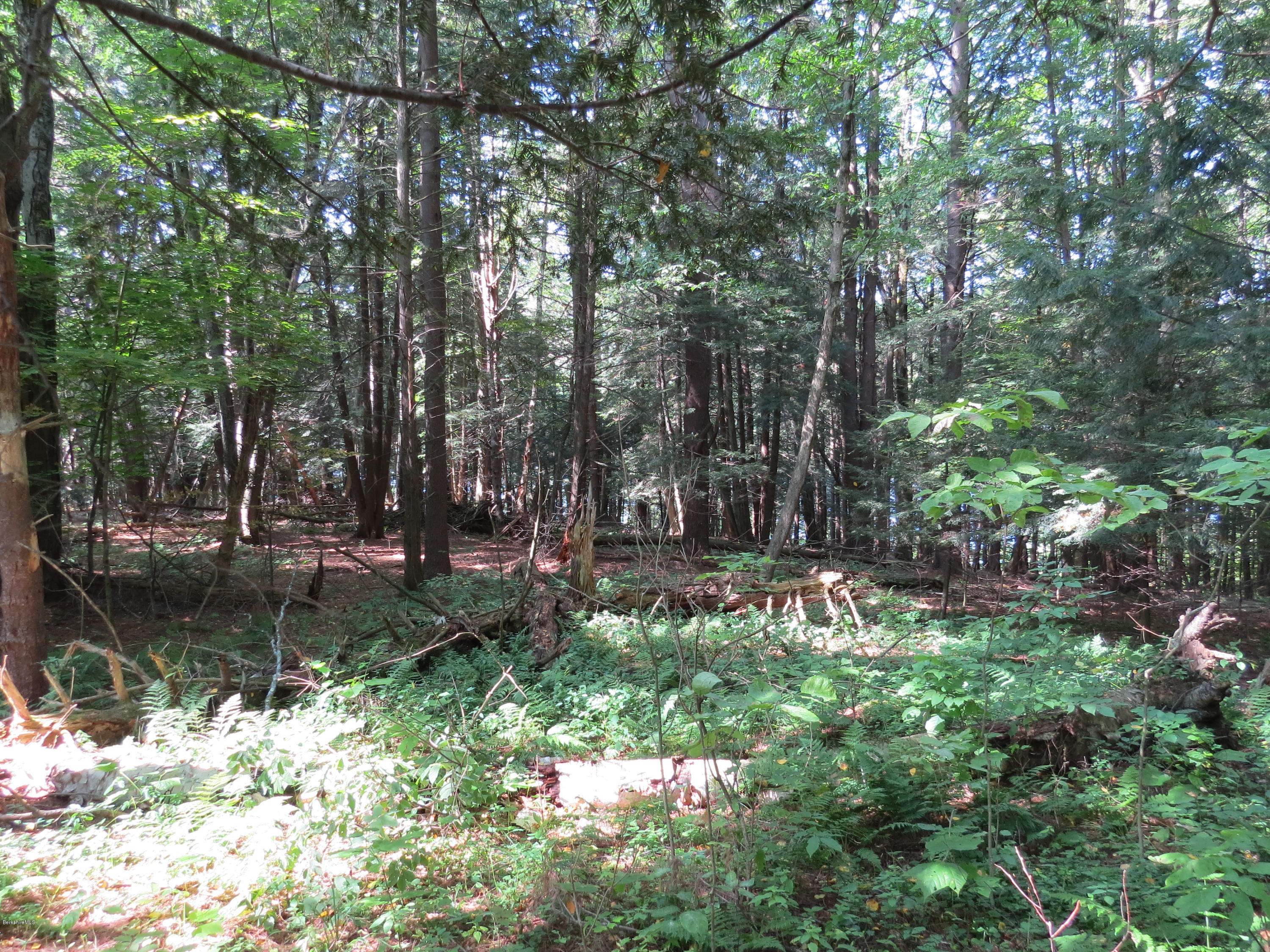 0 Ingalls Road Cheshire, MA 01225 - Photo 10 of 13 IMG_3440