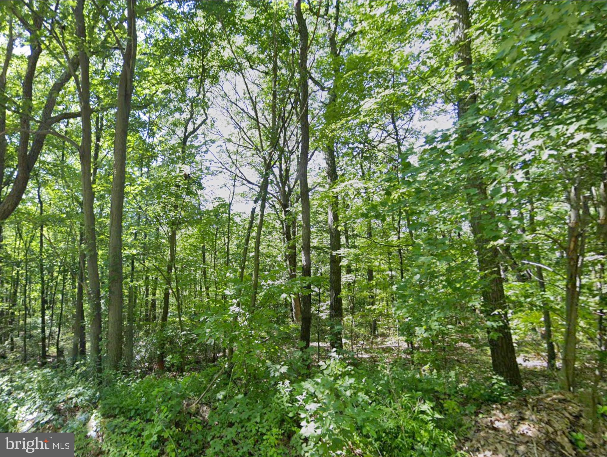 0 Weavers Wood Road Saxton, PA 16678 - Photo 1 of 13