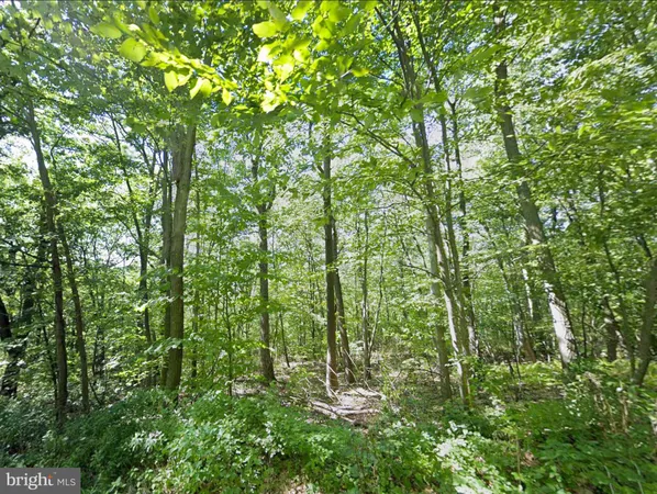 $84,950 | 0 Weavers Wood Road, Saxton, PA 16678