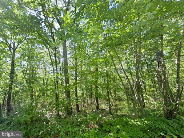 $84,950 | 0 Weavers Wood Road, Saxton, PA 16678