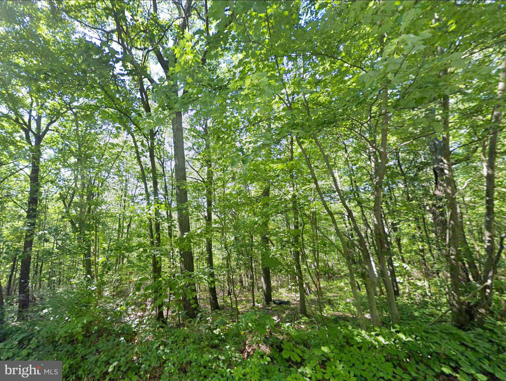 0 Weavers Wood Road Saxton, PA 16678 - Photo 3 of 13