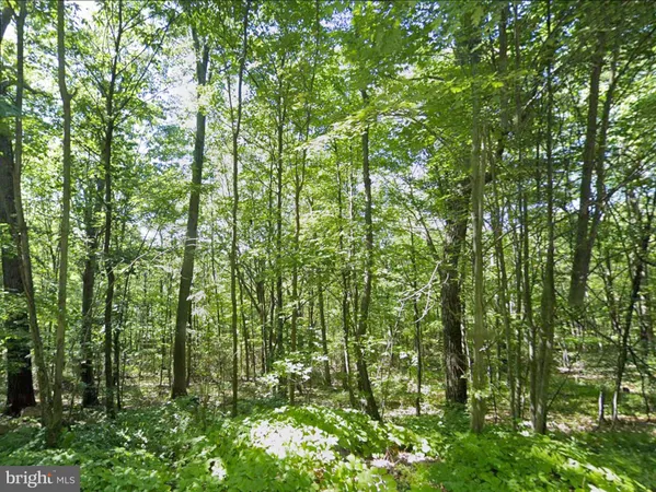 $84,950 | 0 Weavers Wood Road, Saxton, PA 16678