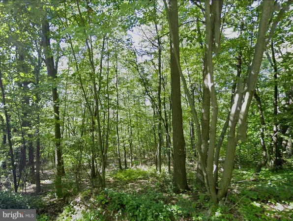 $84,950 | 0 Weavers Wood Road, Saxton, PA 16678