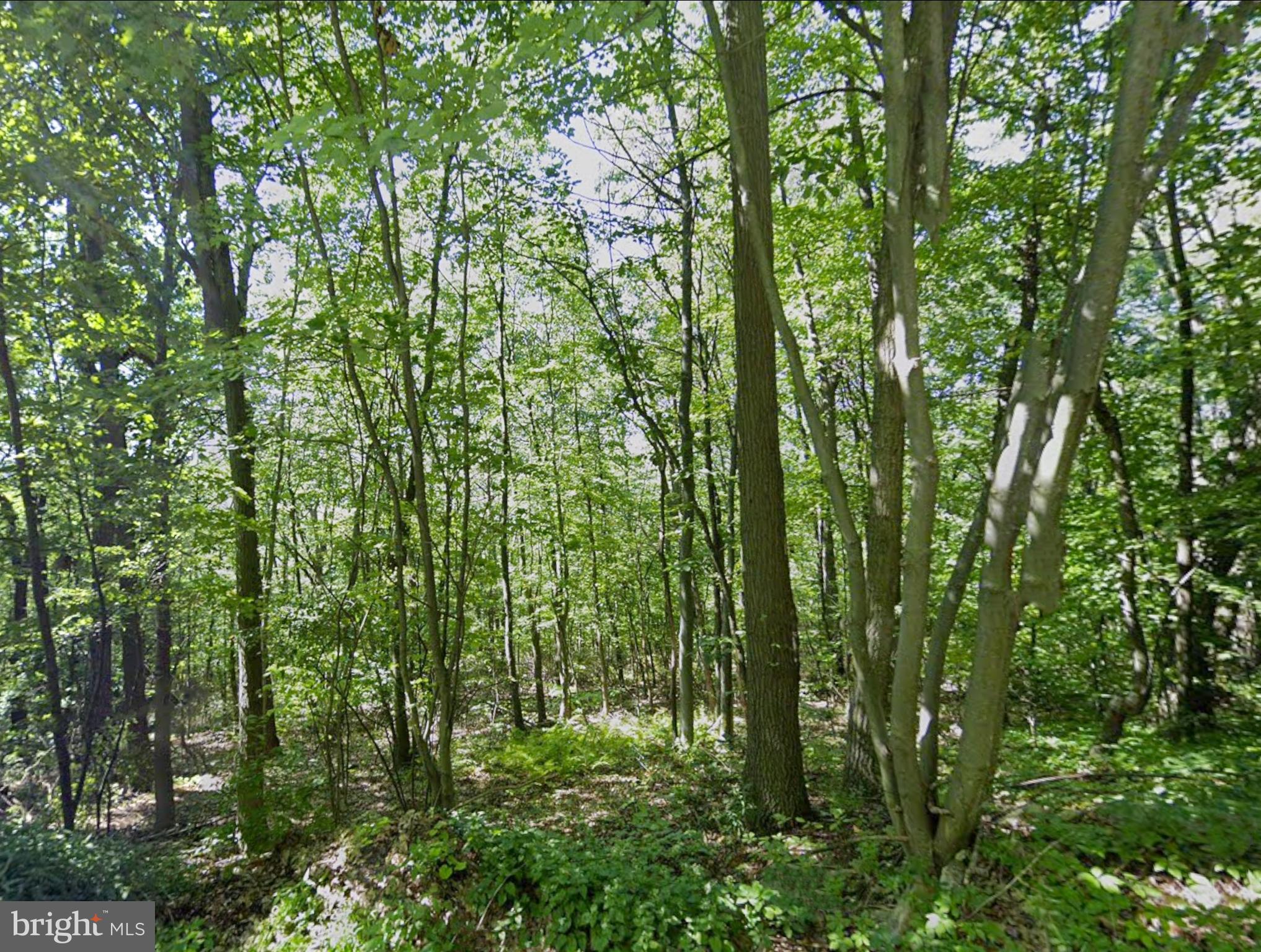 0 Weavers Wood Road Saxton, PA 16678 - Photo 5 of 13