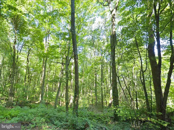 $84,950 | 0 Weavers Wood Road, Saxton, PA 16678